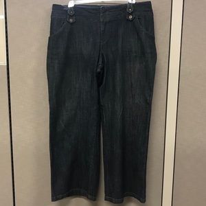 Lane Bryant Dressy Denim Jeans